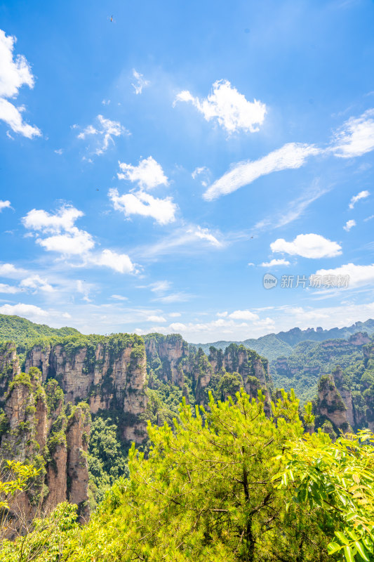 中国湖南张家界景区奇特山峰与茂密森林