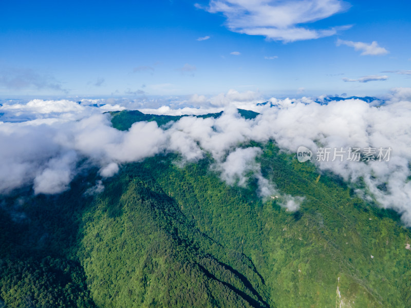 自然风光高山云海航拍摄影图