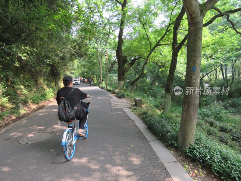 杭州九溪烟树景区