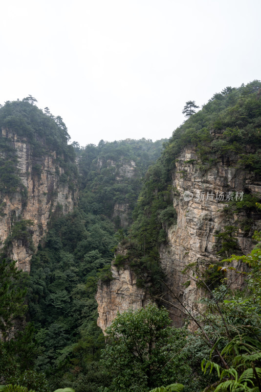 云雾缭绕的张家界奇峰异石景观