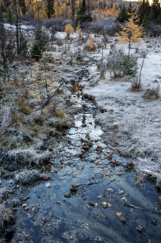 冬天积雪覆盖的山谷森林和溪流