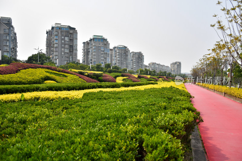 城市住宅区旁的绿植景观