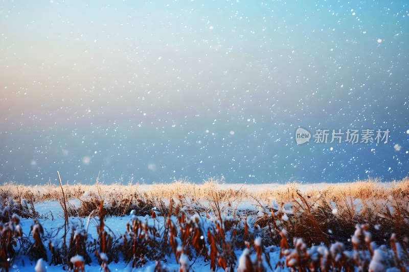 冬天风景大雪背景