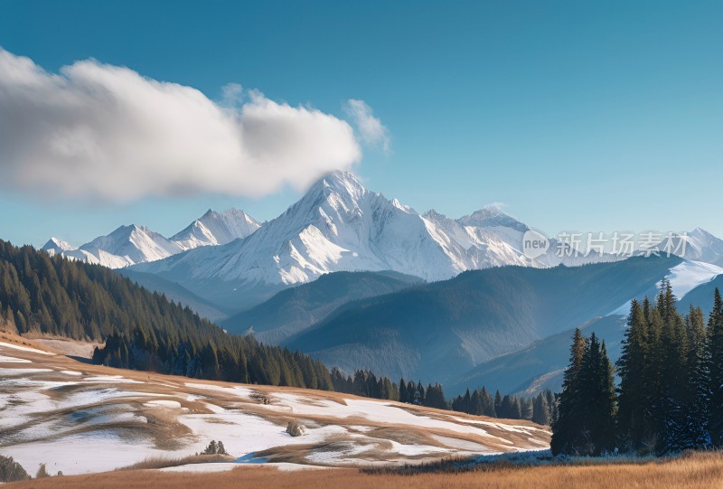 雪山高原草原森林风景