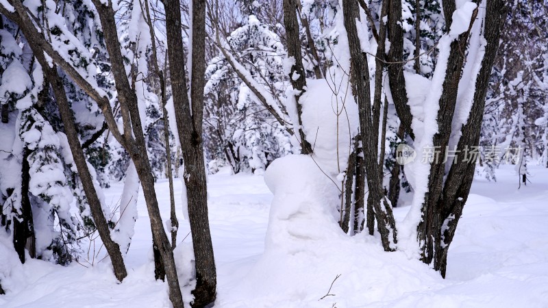 林海雪原