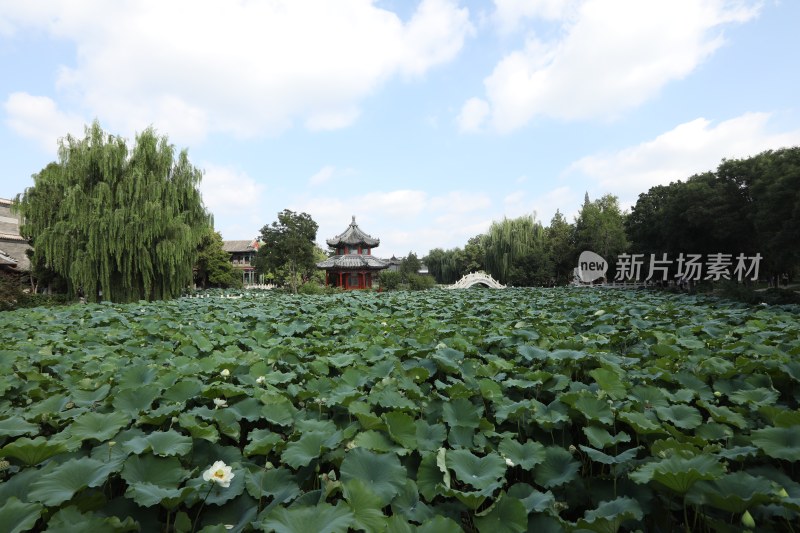 保定莲花池