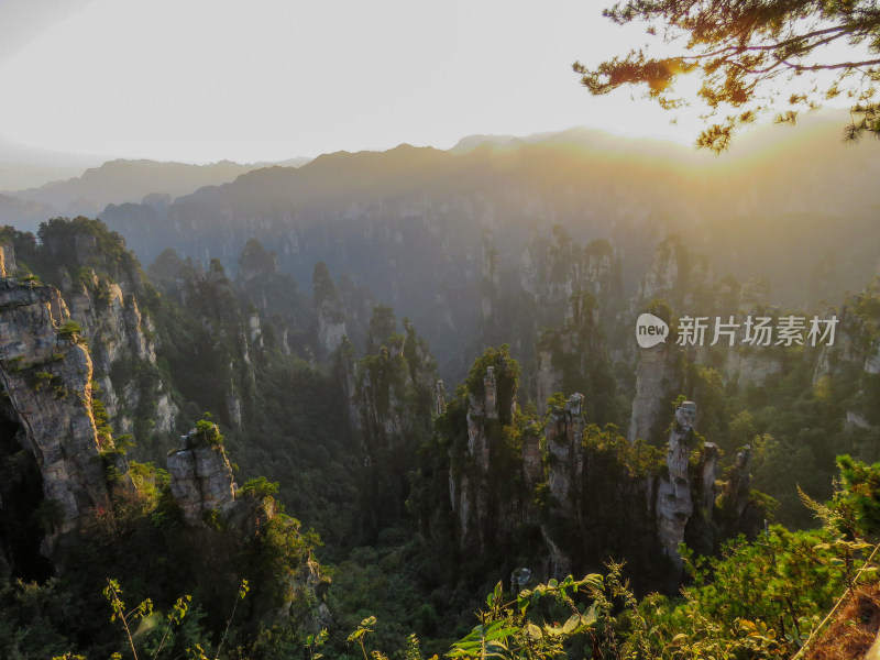 中国湖南张家界国家森林公园旅游风光