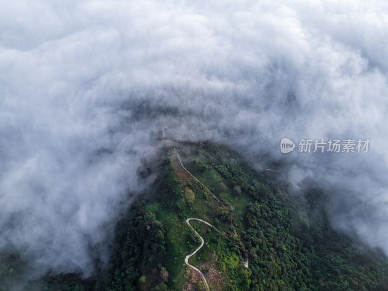 航拍山间云雾中的森林