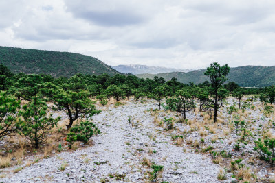 丽江玉龙雪山干河坝