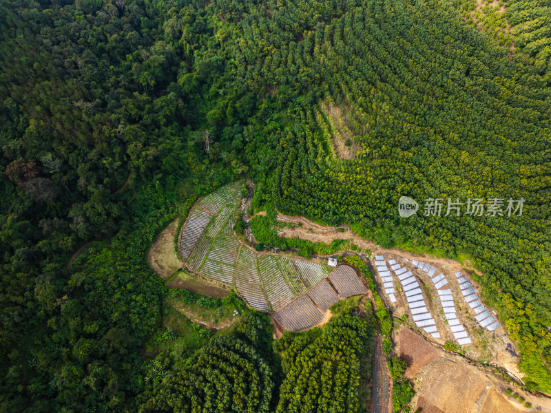 航拍山区绿色生态农业景观