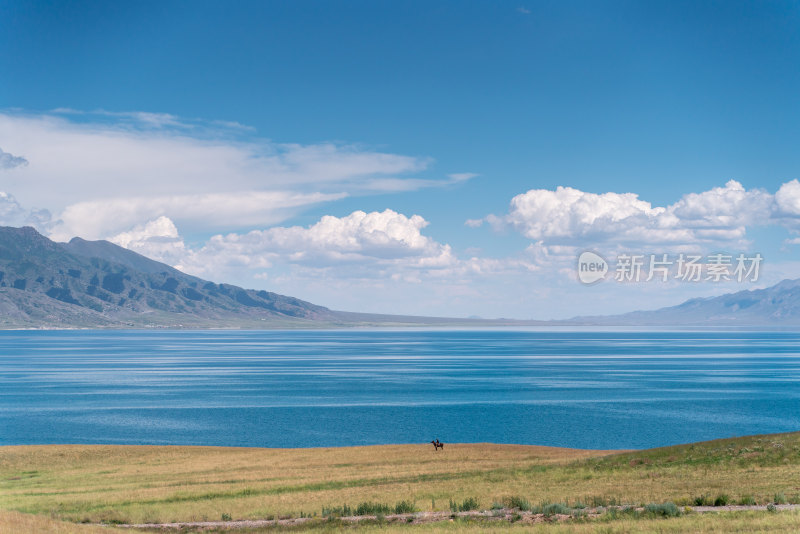 赛里木湖湖边茂盛森林草地的自然景观