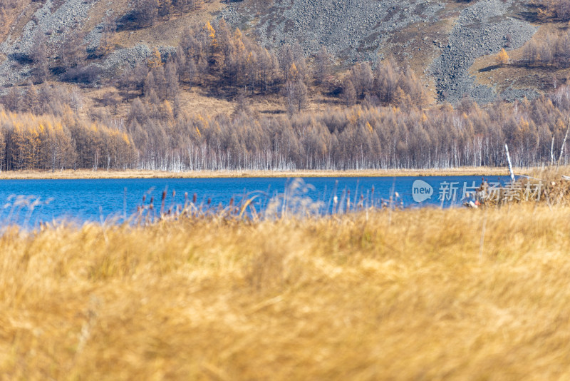 赤峰山林