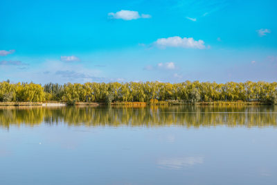 酒泉市怀茂湿地公园