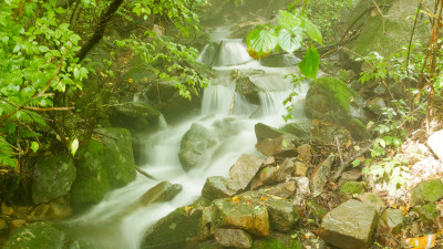 东北长白山森林里的溪流