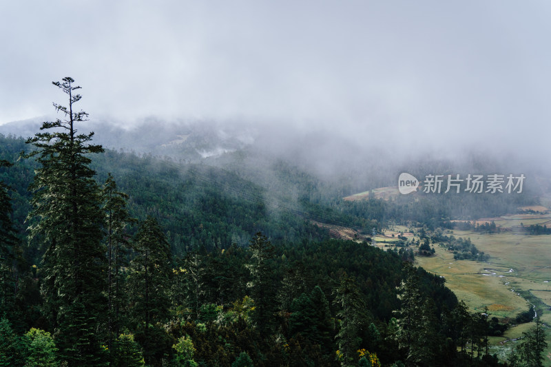 迪庆藏族自治州乡村牧场