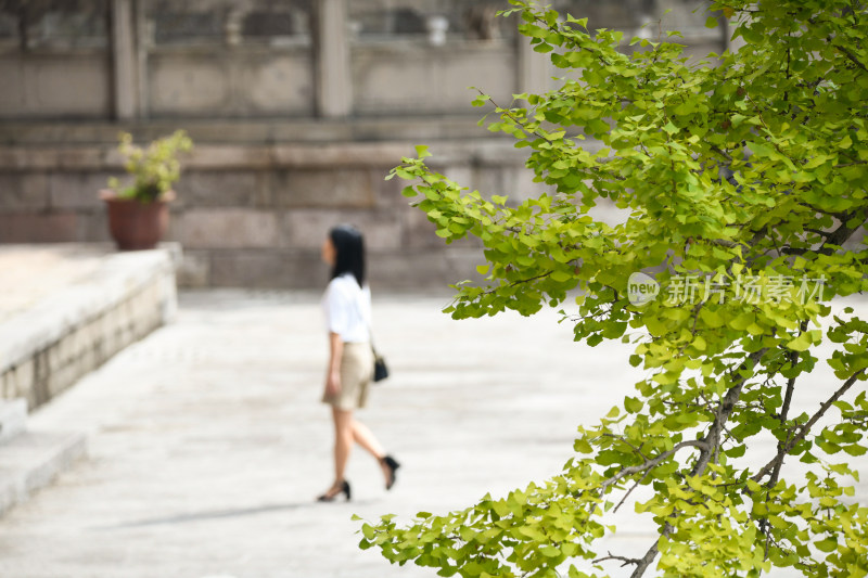 贵州安龙南明历史博物馆永历皇宫建筑