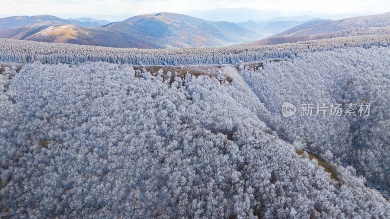 航拍白雪覆盖的广袤山林全景