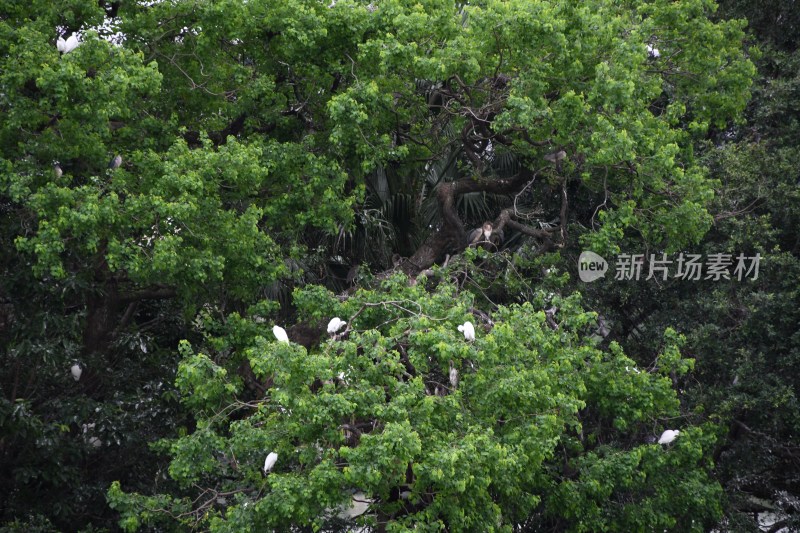 广东惠州西湖风景名胜景区