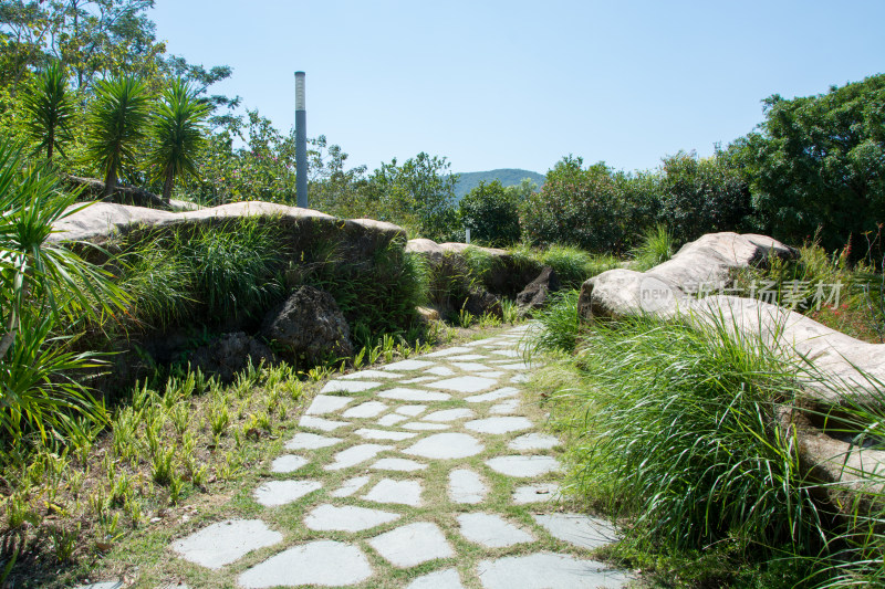 深圳大鹏七娘山科考路线登山口