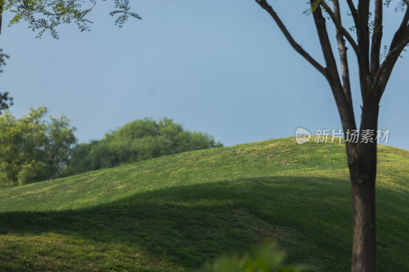 北京常营户外自然风景