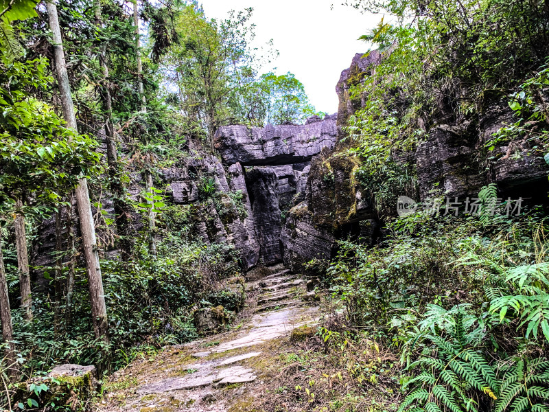 湖北恩施梭布垭石林旅游风光