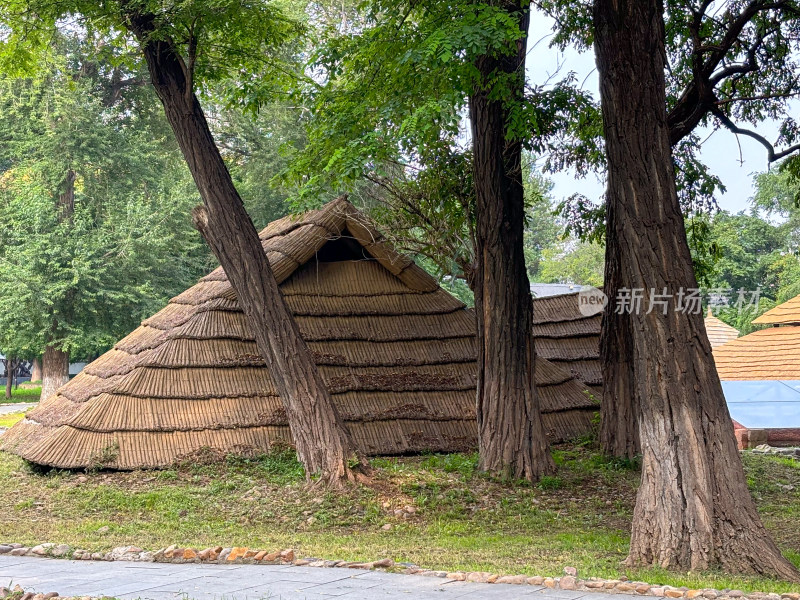 辽宁省沈阳市重点文物保护单位 新乐遗址