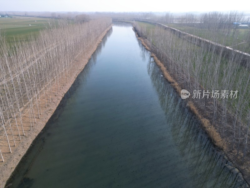 航拍田野间河流树木行列景观