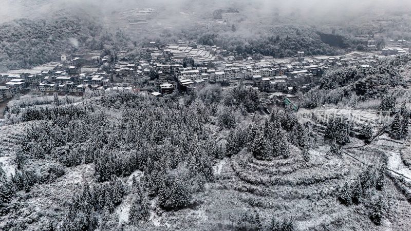 重庆酉阳：大雪纷飞赏雪忙