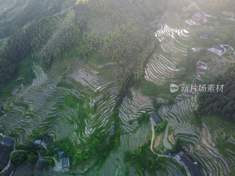 农村梯田风光