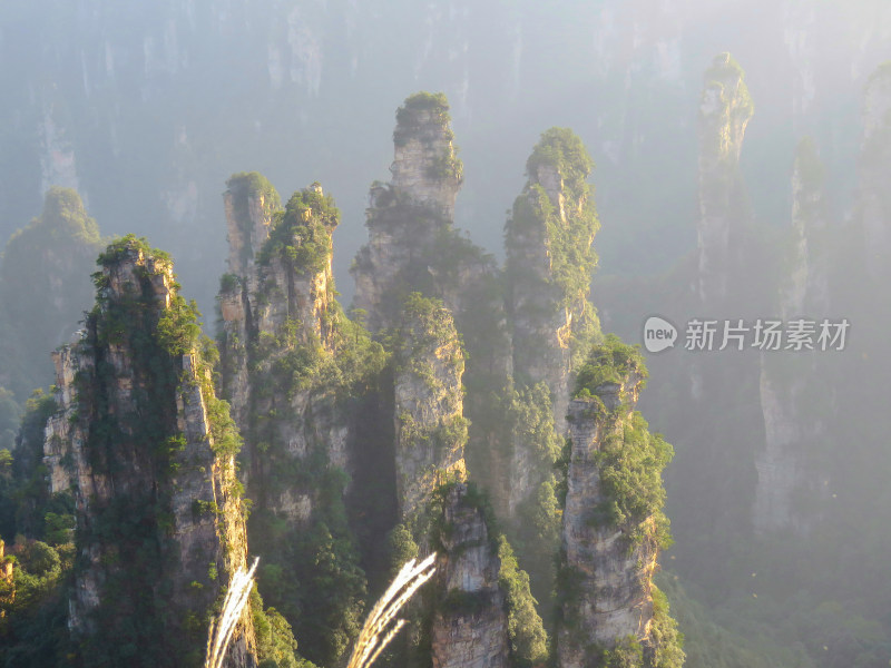 中国湖南张家界国家森林公园旅游风光