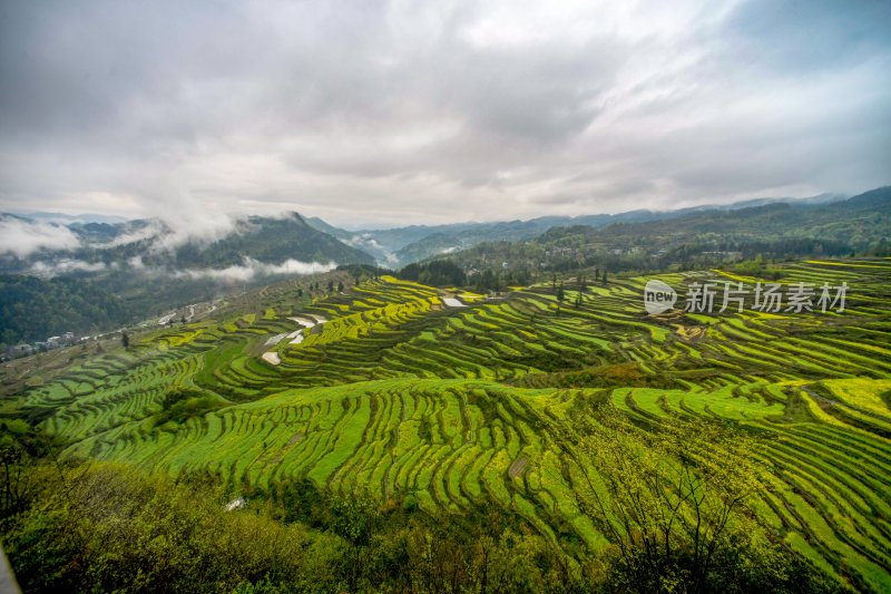 重庆酉阳：青山雾漫别样美