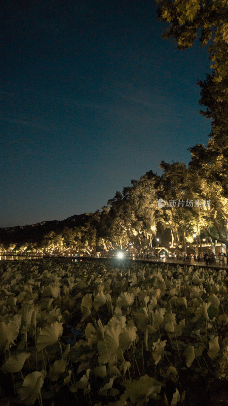 杭州西湖夜景