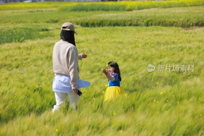 母女漫步麦田享受休闲时光