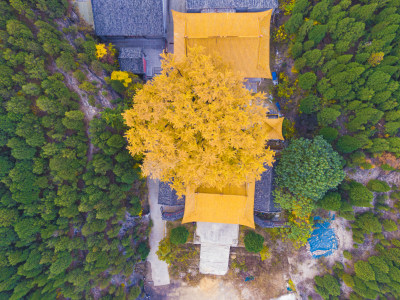 山东济南淌豆寺秋天航拍