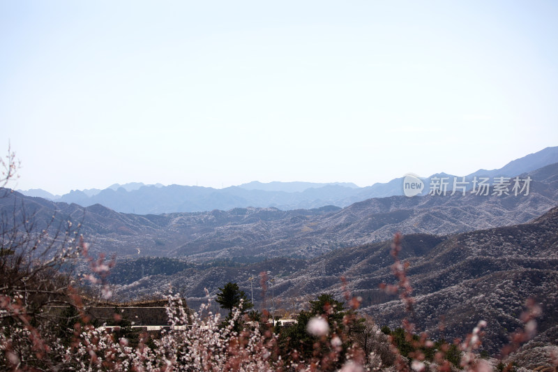 春季大山开满野花景色