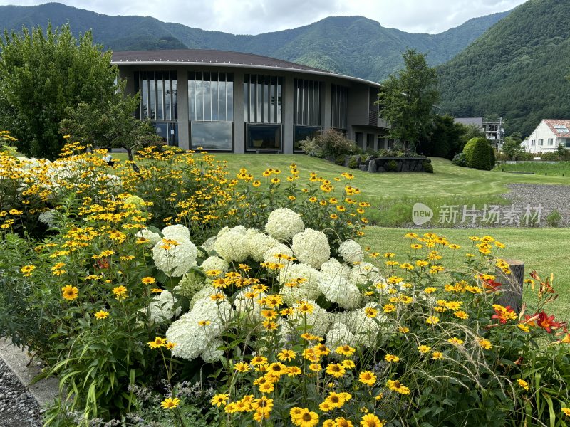 花丛中现代建筑，背靠青山的优美景观