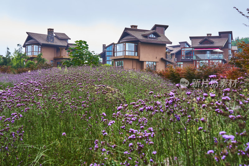 四川峨眉山洪雅半山七里坪度假村