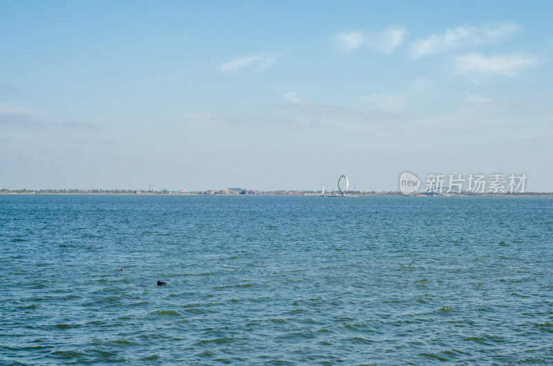 上海滴水湖风光