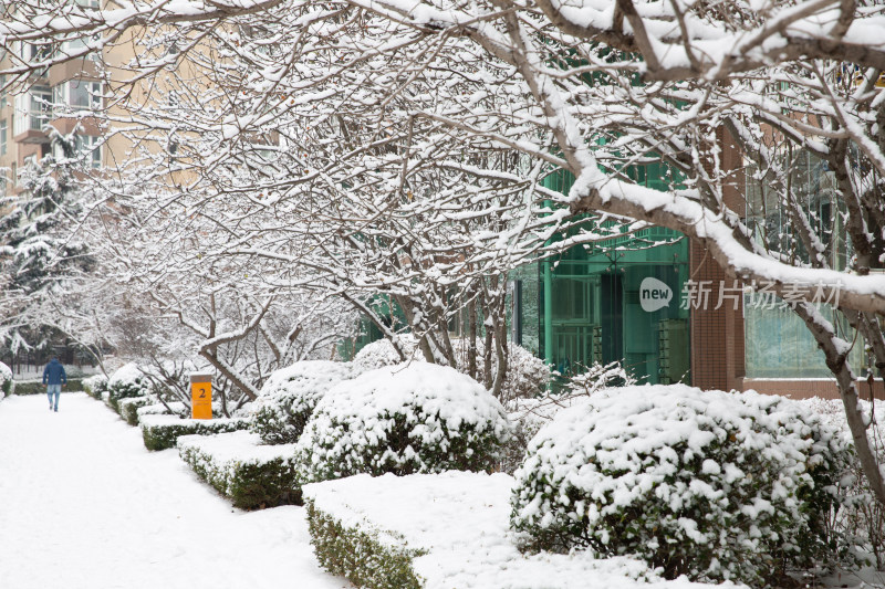 大雪后小区屋外厚厚的积雪雪景