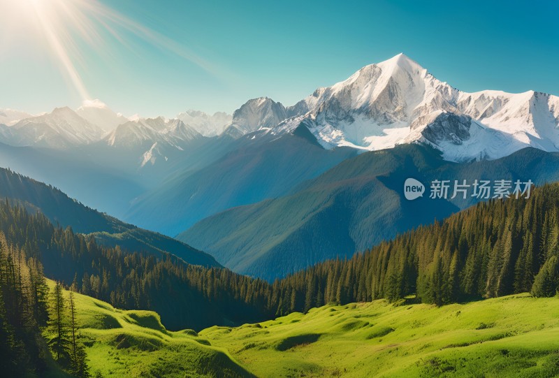 雪山高原草原森林风景