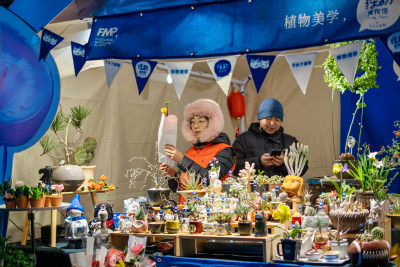 春节成都交子大道二月花市年宵花会