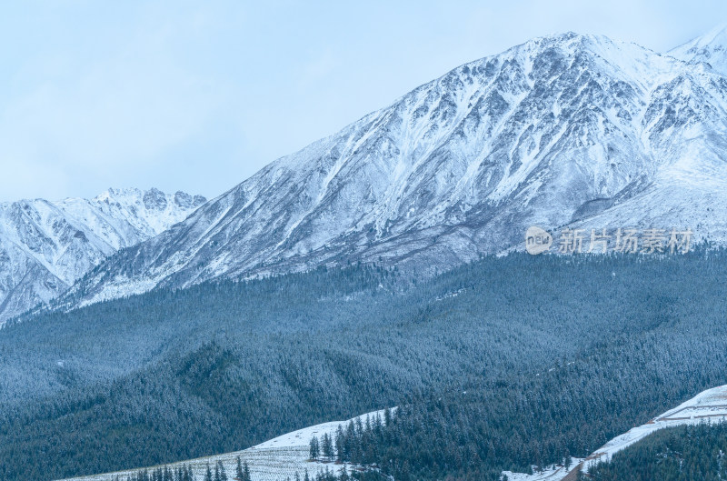 青海祁连卓尔山树林自然唯美雪景风光