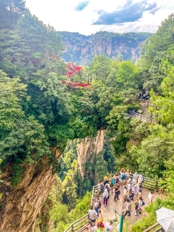 中国湖南张家界景区奇特山峰与茂密森林