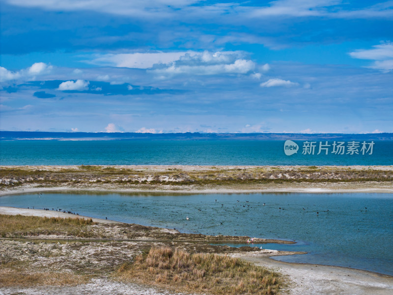 乌伦古湖候鸟湿地保护区