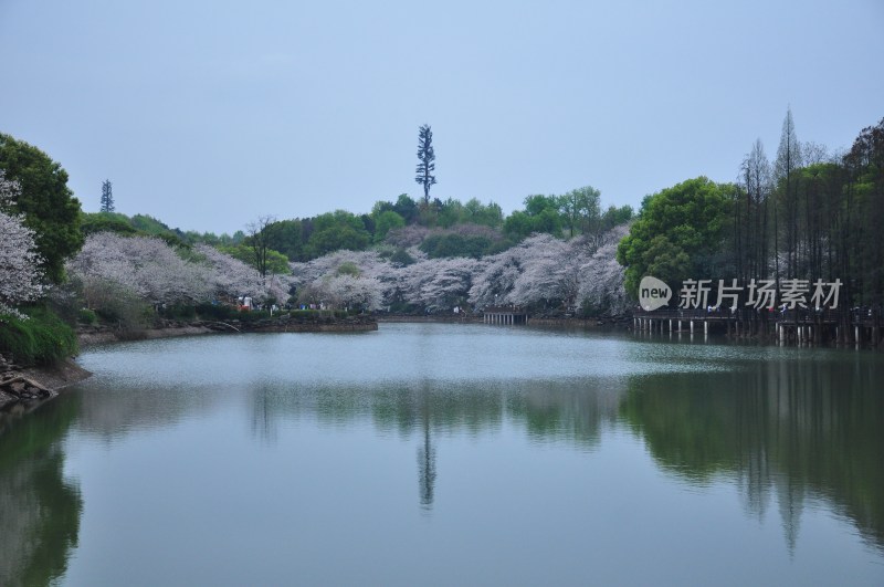 长沙风景，自然风光，长沙城景