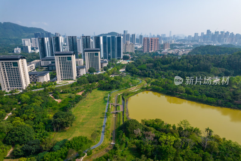 深圳环西丽湖碧道