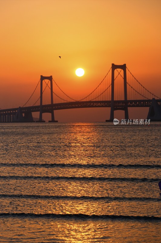 大连星海公园跨海大桥的日出