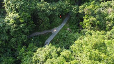 广东东莞银瓶山森林公园清溪景区登山步道