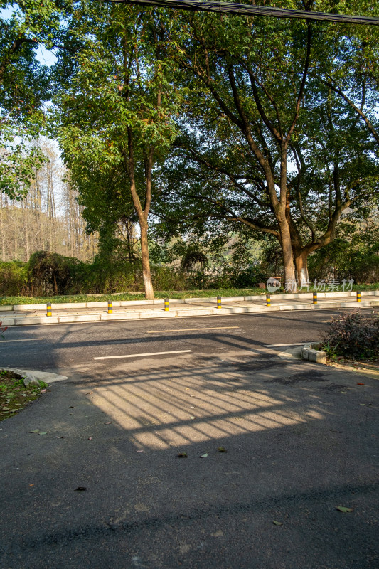 有树木和路障的户外道路场景