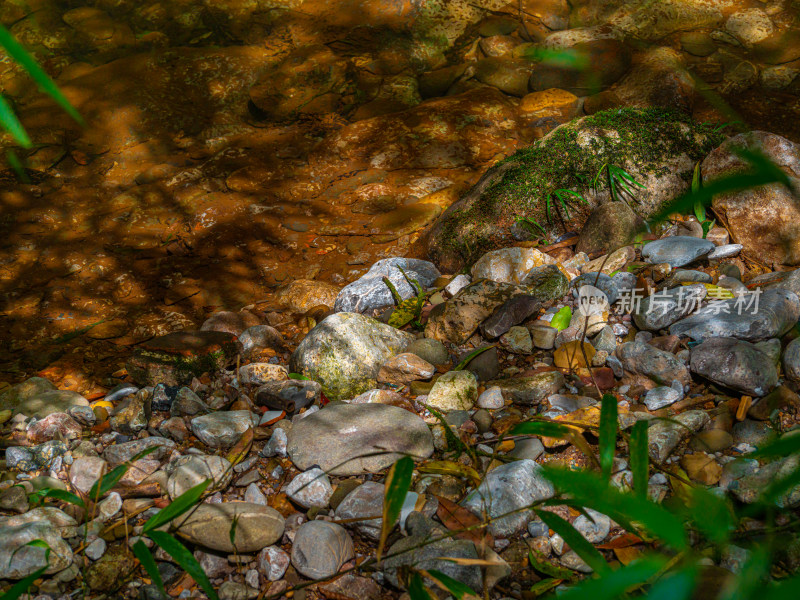 小溪边岩石光影的高角度视图